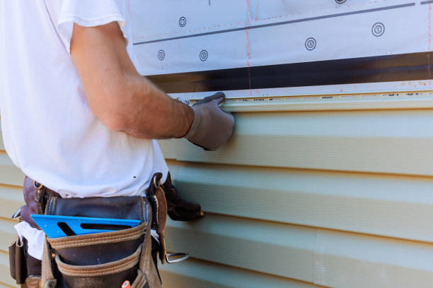 Best Stucco Siding  in Buchanan, GA
